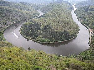 Foto (c) A. Grauer